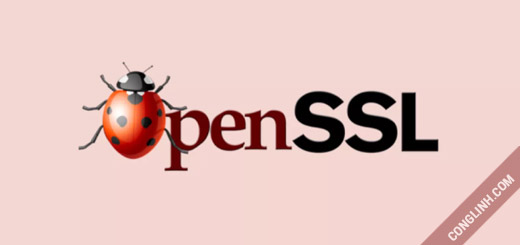 OpenSSL-bug-2016